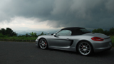 Boxster 981